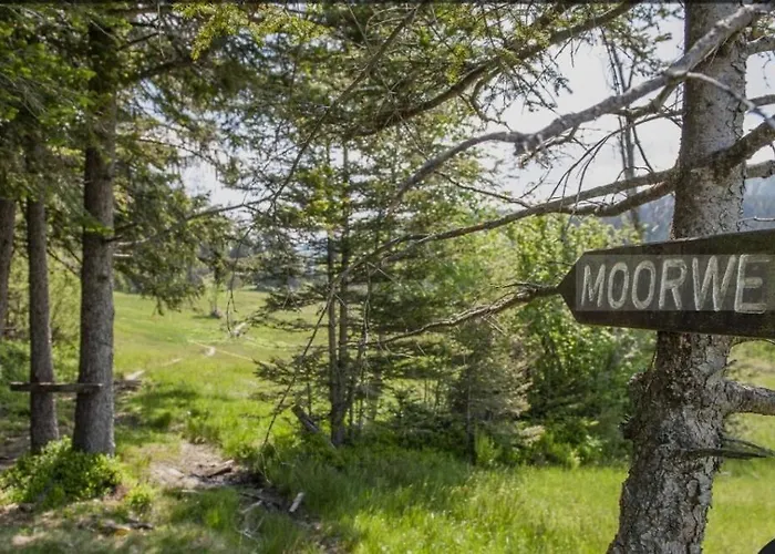 Photo de Moderne 3-Zimmer-Ferienwohnung Im Toggenburg Krummenau
