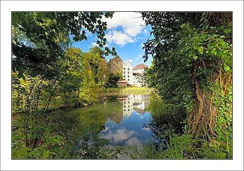 صورة Schloss Wartensee Rheineck